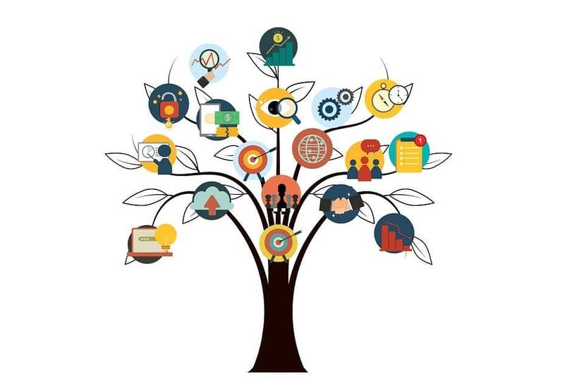 Orange County SEO